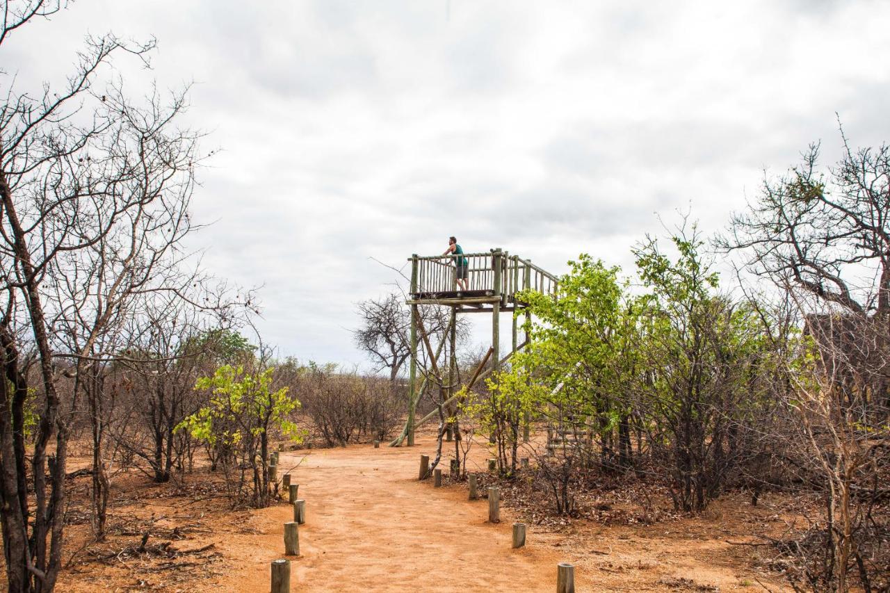 Silonque Bush Estate And Spa Phalaborwa Exterior photo