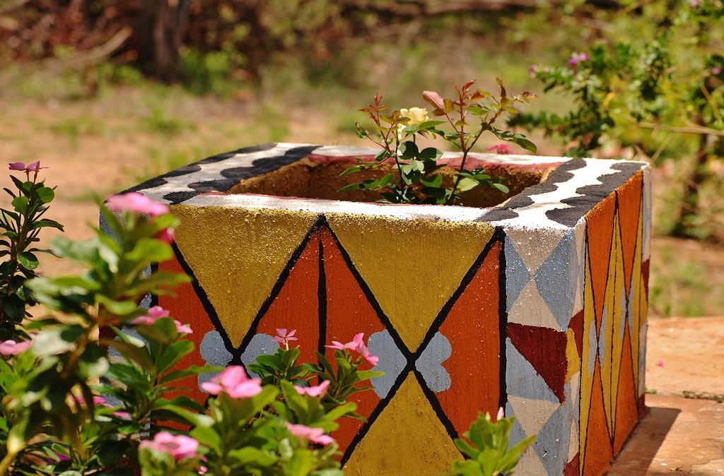 Silonque Bush Estate And Spa Phalaborwa Exterior photo