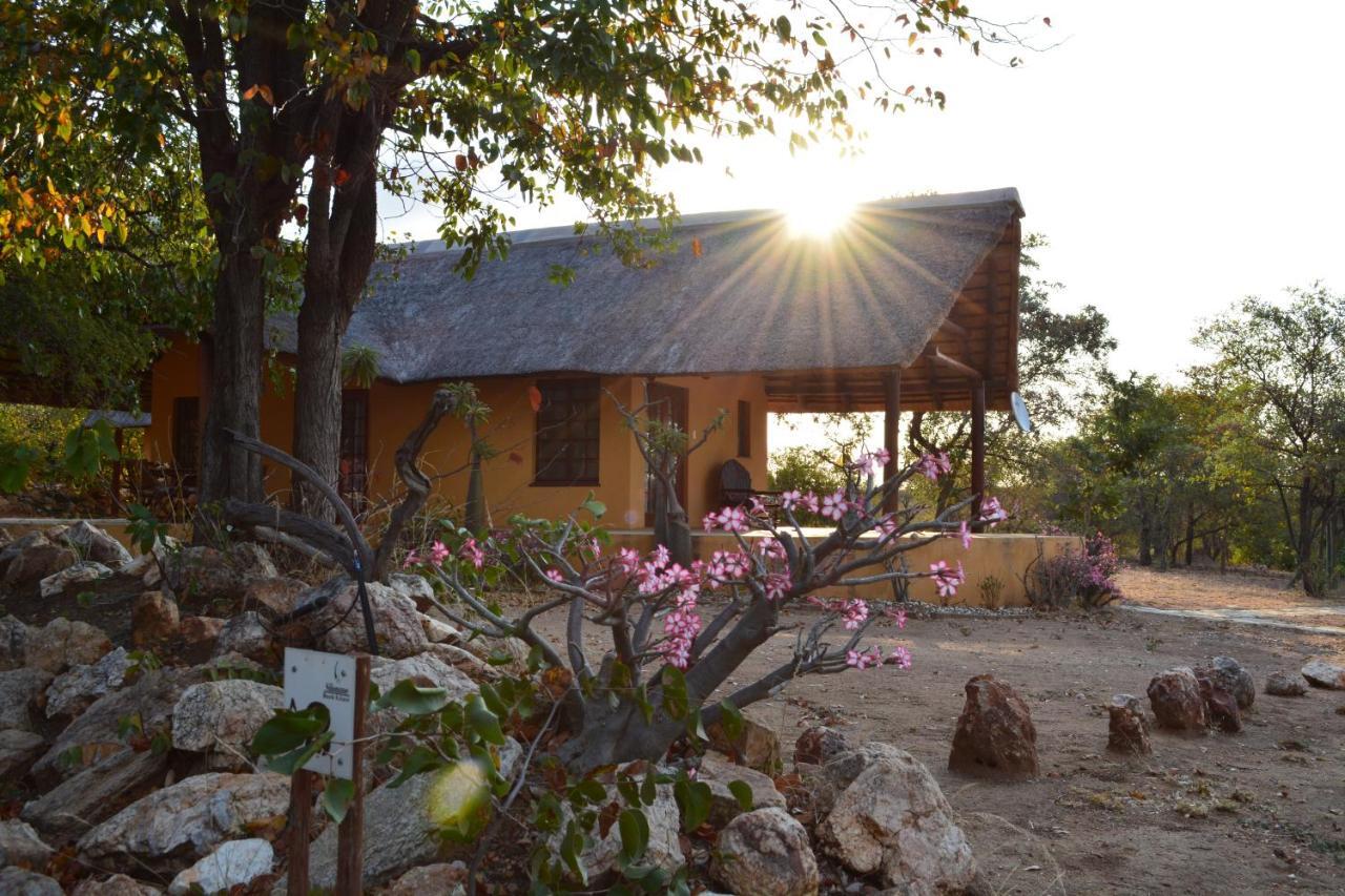 Silonque Bush Estate And Spa Phalaborwa Room photo